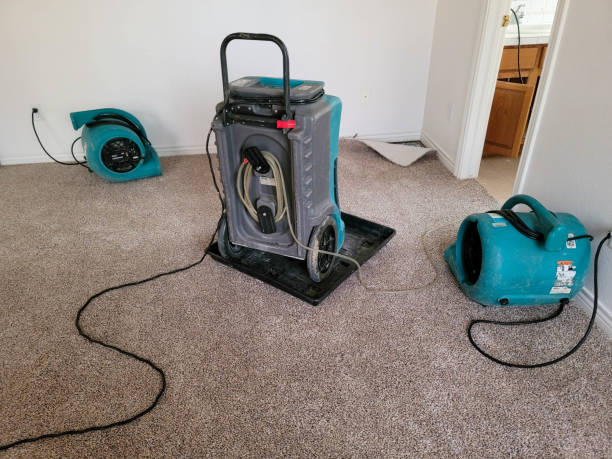 Best Water damage cleanup near me  in Saukville, WI