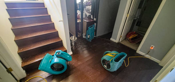 Best Water damage restoration near me  in Saukville, WI