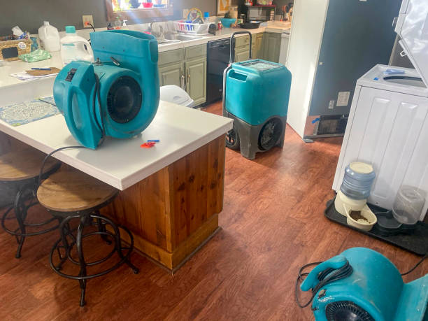 Best Local water damage restoration  in Saukville, WI