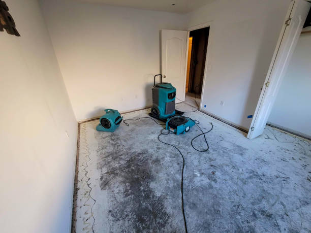 Best Residential water damage restoration  in Saukville, WI