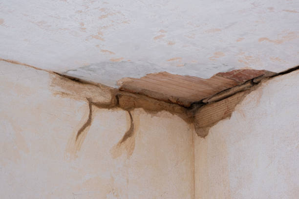 Best Flood damage cleanup  in Saukville, WI