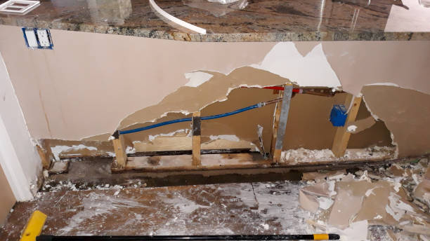 Best Professional water damage repair  in Saukville, WI