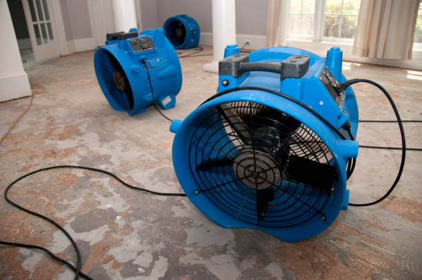 Best Professional water damage repair  in Saukville, WI