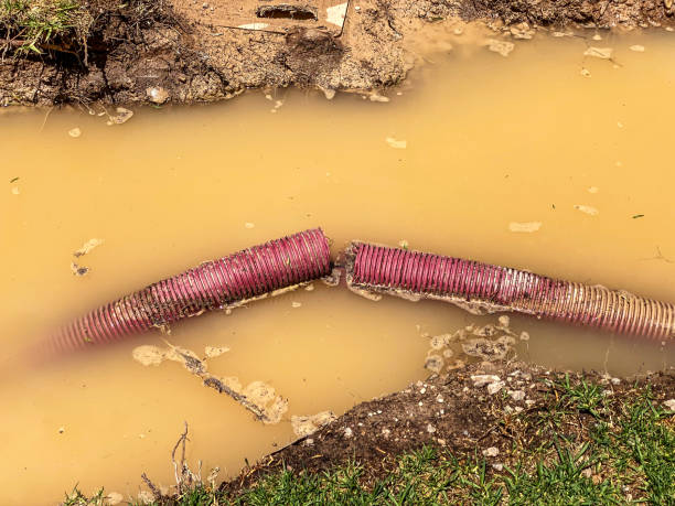 Best Commercial water damage restoration  in Saukville, WI